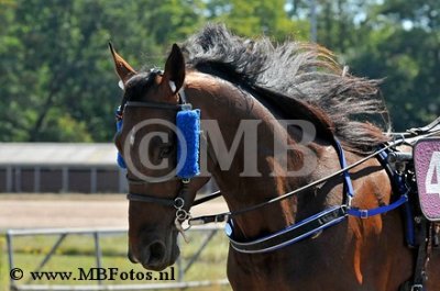 _MBF6009.jpg