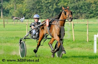 Koers 3. Willow Burgerheide1.jpg