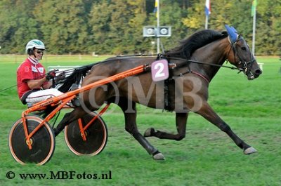 Koers 8. Dreamline Promise1.jpg