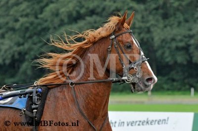 _MBF9636.jpg