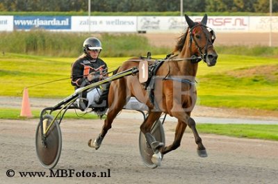 _MBF1600.jpg