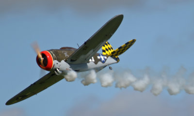 Bogan's P47, 0T8A8260.jpg