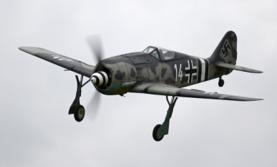 Oles FW 190, 0T8A8001.jpg