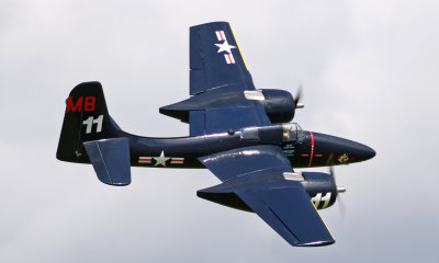 Damon's Tigercat, 0T8A9150.jpg