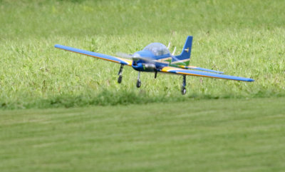 Tucano 1 - Place your bets - On the green or in the rough ? 0T8A0663.jpg