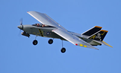 Alan P's TameCat, 0T8A0818.jpg