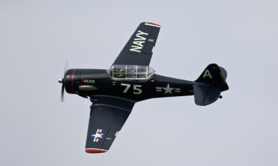 The Texan's canopy starting to lift, 0T8A1928.jpg