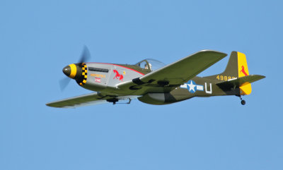 Bruce's Mustang, 0T8A2436.jpg