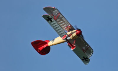 Allen C's Albatross, 0T8A2932.jpg