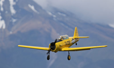 Tony W's Harvard, 0T8A8914.jpg