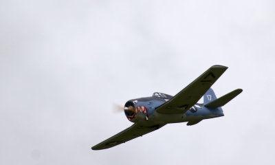 Alan P flying his newish Hellcat, 0T8A9343.jpg