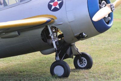 Undercarriage detail, John Doherty's Grumman F4F Wildcat, 0T8A7024.jpg