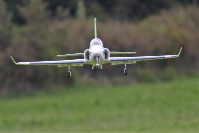 Trent's EDF Viper jet, 0T8A8035.jpg