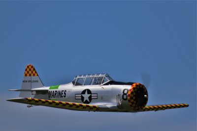 Andy's Texan, 0T8A9309.jpg
