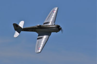 Gordon's Sea Fury, 0T8A9280.jpg