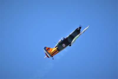 John's Dewoitine, 0T8A9034.jpg