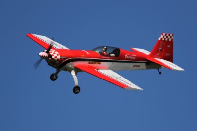 Ross's Extra, 0T8A9359.jpg