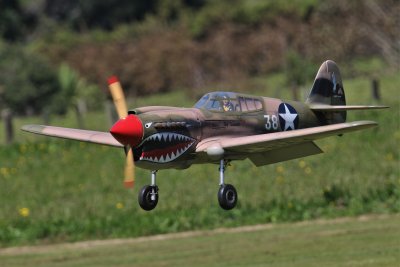 Steve B's Warhawk, 0T8A9267.jpg