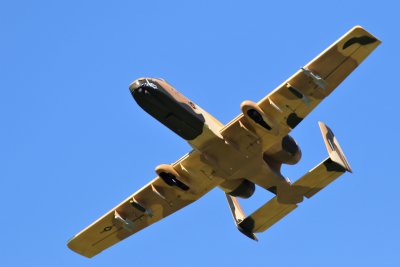 Stewart's A-10 overhead, 0T8A9119.jpg