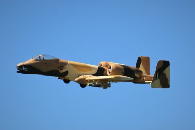 Stewart's A-10, 0T8A9133.jpg