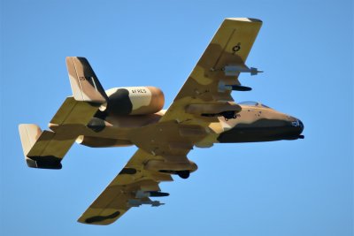Stewart's EDF A-10 Warthog, 0T8A8890.jpg