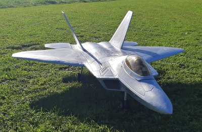 Allen L's EDF F-22, 20180627_144716.jpg