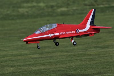 Alan L's Hawk about to land, 0T8A3772.jpg