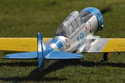 Alan P's Phoenix Texan, 0T8A4286.jpg