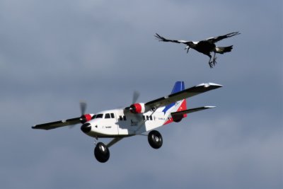 Levin, 0T8A4492.jpg