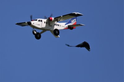 Levin, 0T8A4597.jpg