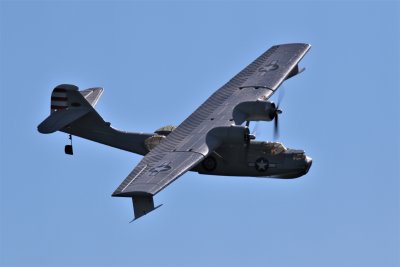 Ross's Catalina, 0T8A5955.JPG