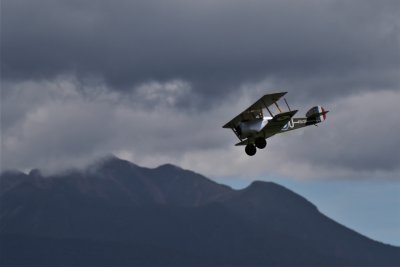 Alan L's Camel patrols the Pouakais, 0T8A9533.jpg