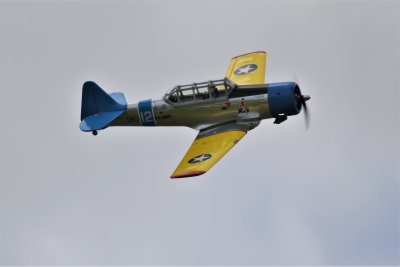 Alan P's repaired Harvard, 0T8A0043.jpg