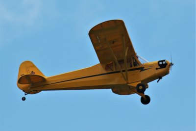 Steve Wilson's J3 Cub, 0T8A8961.jpg