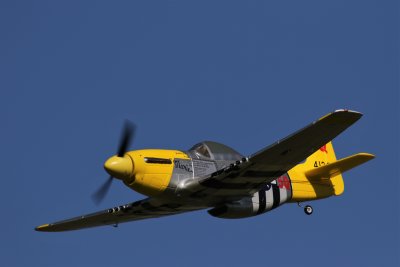 Ross' P-51, 0T8A0377.jpg