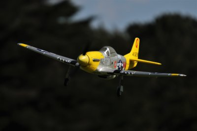 Ross' P-51, 0T8A0442.jpg