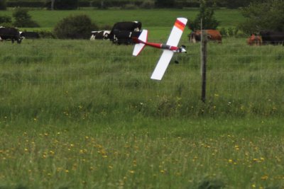 Dwayne's sport plane in a spot of bother on a deadstick, 0T8A2116.JPG