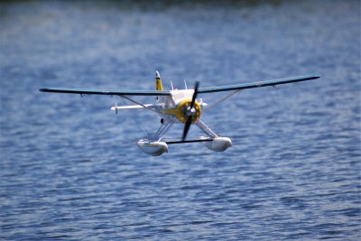 0T8A2560 (2).JPG