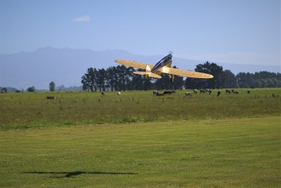 Bruce Pickering's DH.71 Tiger Moth away on it's second flight, , IMG_2447 (2).JPG