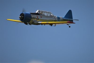 Alan P's Harvard, 0T8A3193 (2).JPG