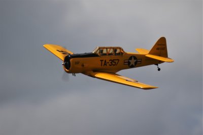 Bruce's Harvard, 0T8A3199 (2).JPG