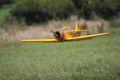 Steve's Harvard on a low pass, 0T8A3561 (2).JPG