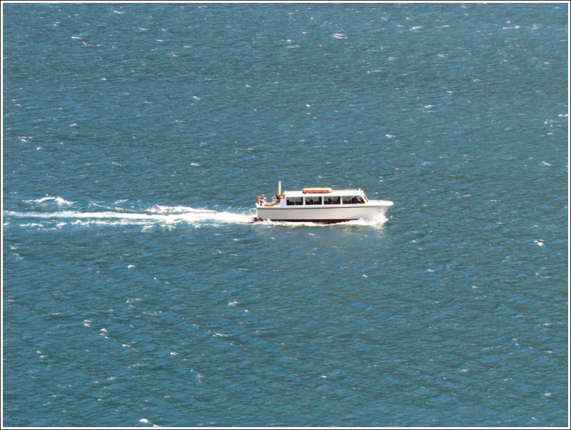 IMG_7969.jpg