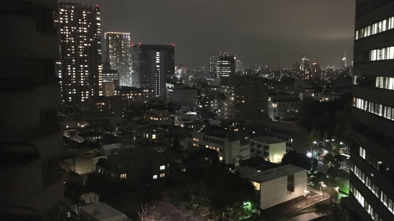 First view of Tokyo