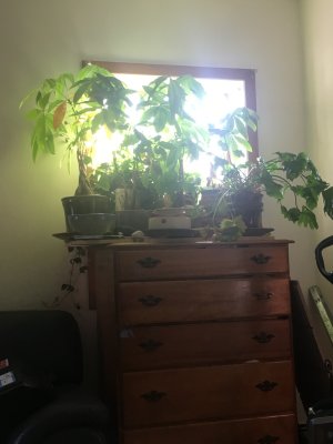 rhode_island_apartment_2018_beautiful