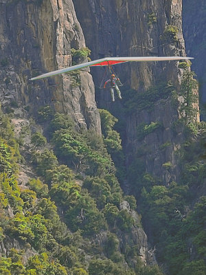 Hang Glider 
