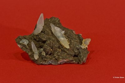 6154-Calciet.jpg