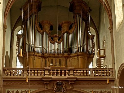 Het orgel.jpg