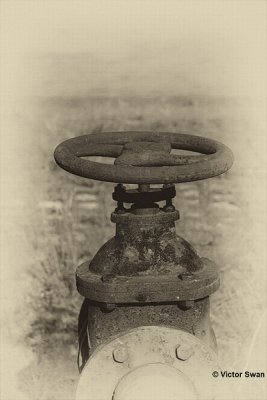 Petroleum zuid.jpg