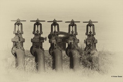Petroleum zuid.jpg